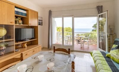 Carboneres 46 – Apartament amb terrassa i vistes